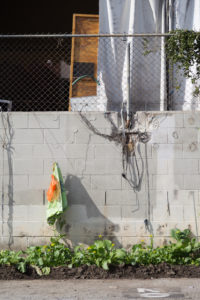 This is the kind of place where the waiters have been working there for longer than I have been alive.