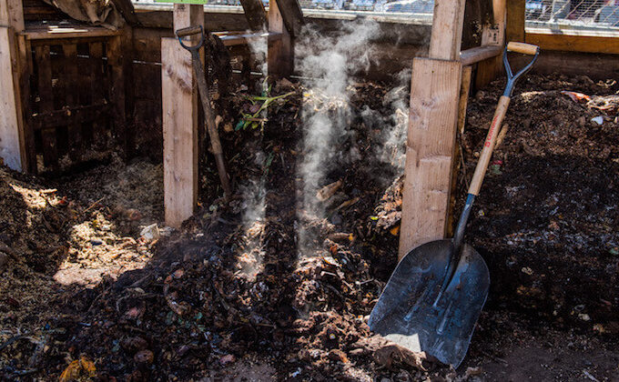 new york city compost