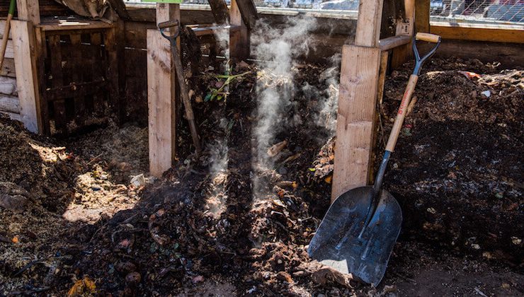 new york city compost