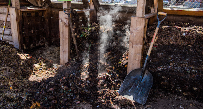 new york city compost