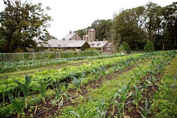 stone barns center for food and agriculture