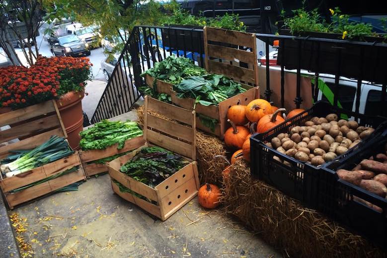 midtown csa, hell's kitchen farm project midtown csa, hell's kitchen farm project