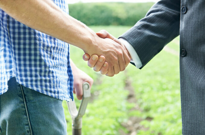 pace food law clinic