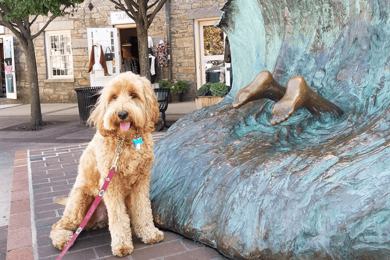 where to stay in Newport where to stay in Newport