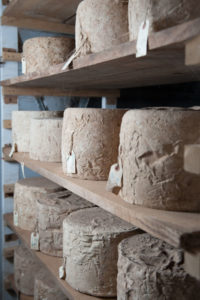 hudson valley harvest