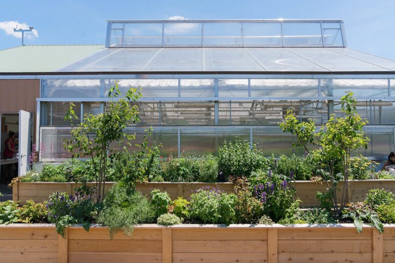 You Can Play in the Dirt at the City's First Public Greenhouse
