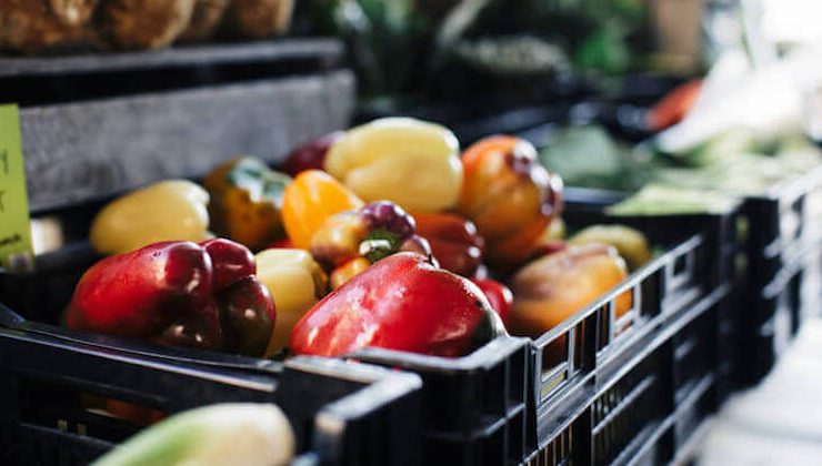 food-print-juliegoldstonekoch20170908-627A8162