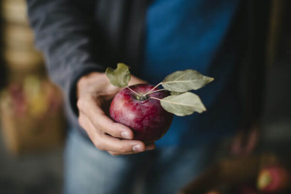new york cider week
