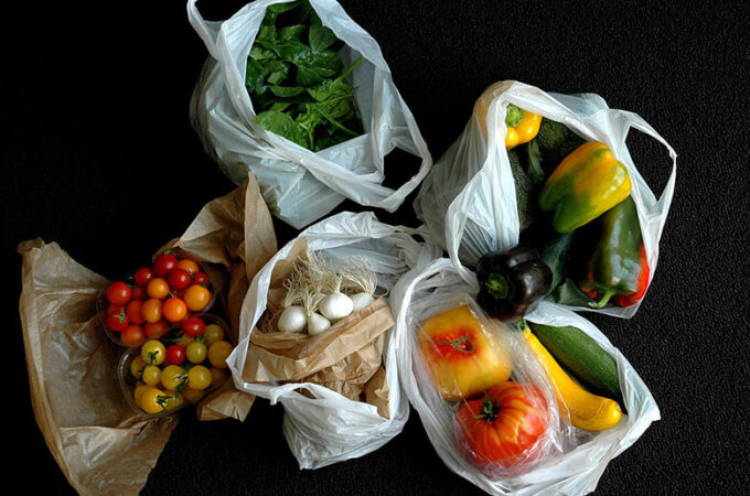 unsavory-truth-book-marion-nestle