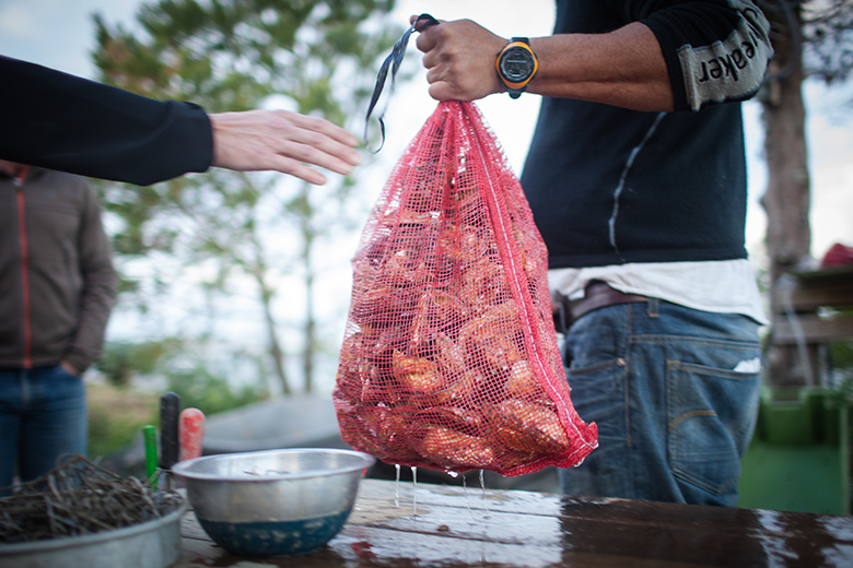 sustainable-farmed-fish