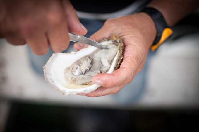 sustainable-farmed-fish