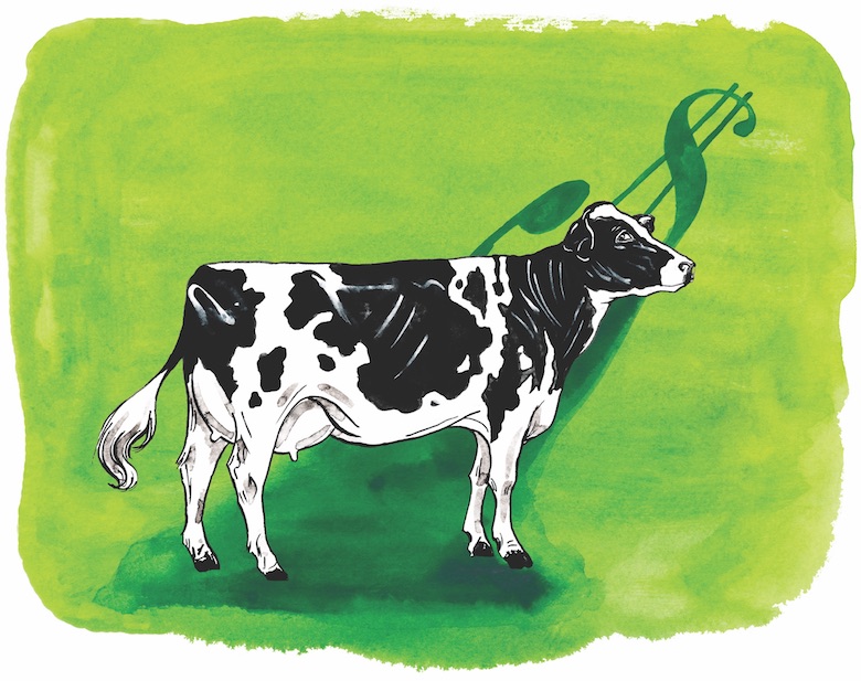 new-york-dairy