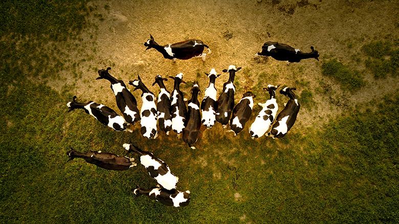 new-york-carbon-farming