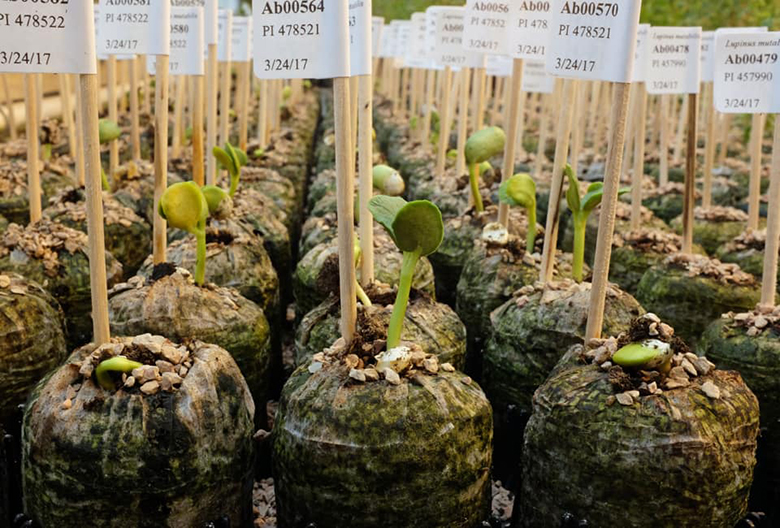 climate-change-land-institute