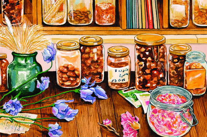 Palestine-Heirloom-Seed-Library