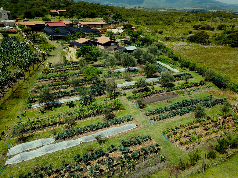 future of local food