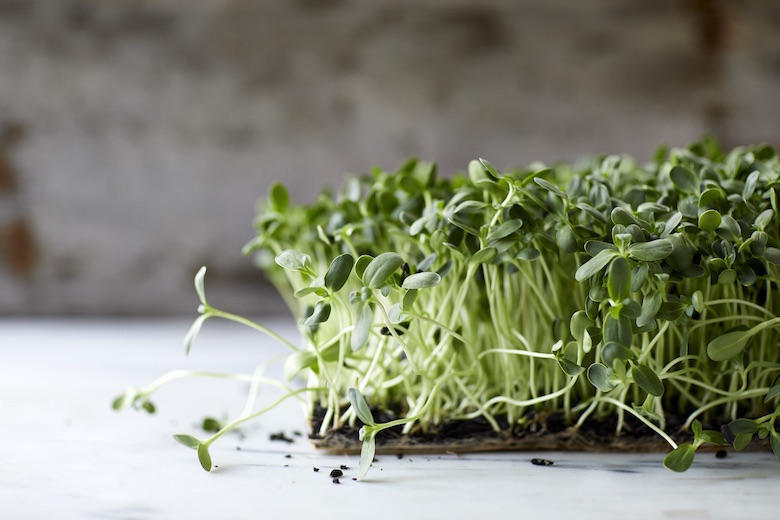 Sprouts