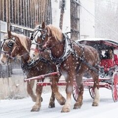 129728422_2949613625274472_5542628231971929842_n