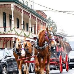 267079147_3231492433753255_3337985937211883300_n