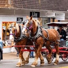 267812324_3231492520419913_3272727695775531922_n-1