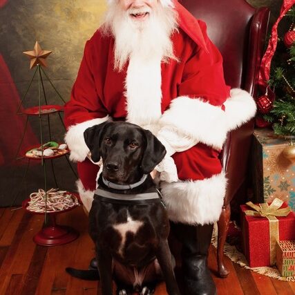 406841536_679443090984174_3876565464559914511_n