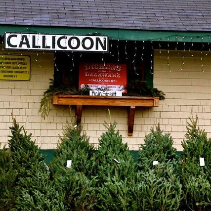 461541876_4003976379838186_9024234386298037743_n