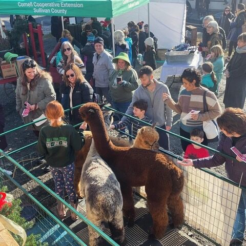 463310741_18254144767267239_8549497924495997633_n