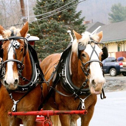 463338041_4021454744757016_8550549863829268751_n