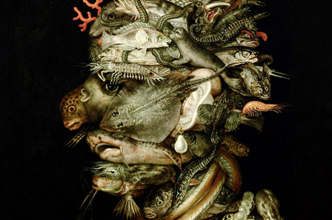 arcimboldo's water from the four elements on a black background