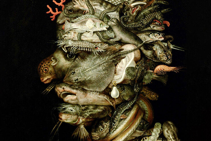 arcimboldo's water from the four elements on a black background