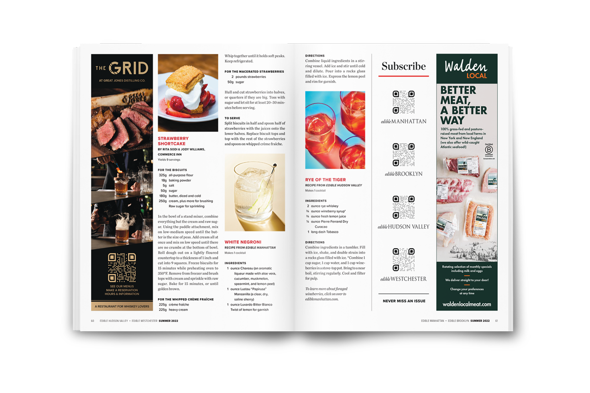 Print Spread Mockup The Grid