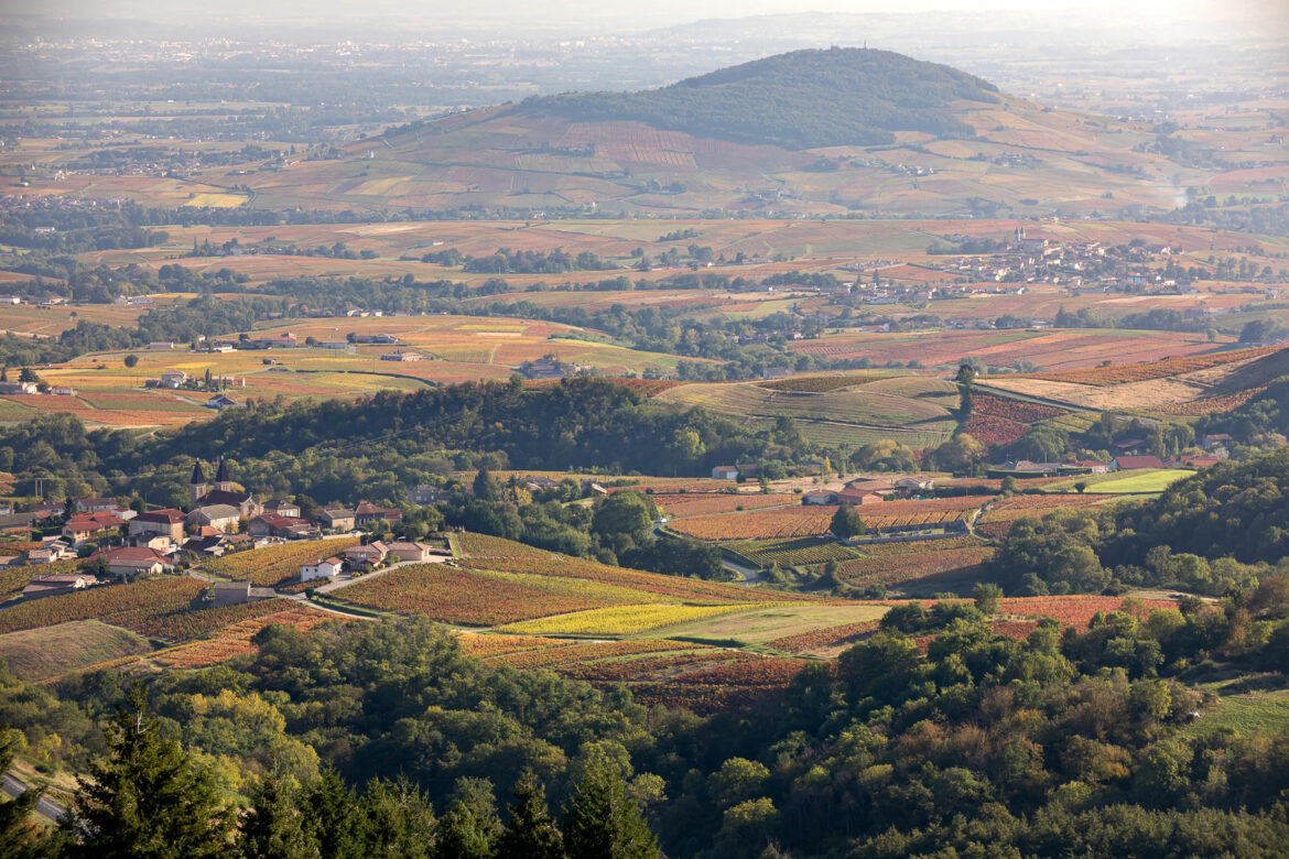 beaujolais region of france landscape