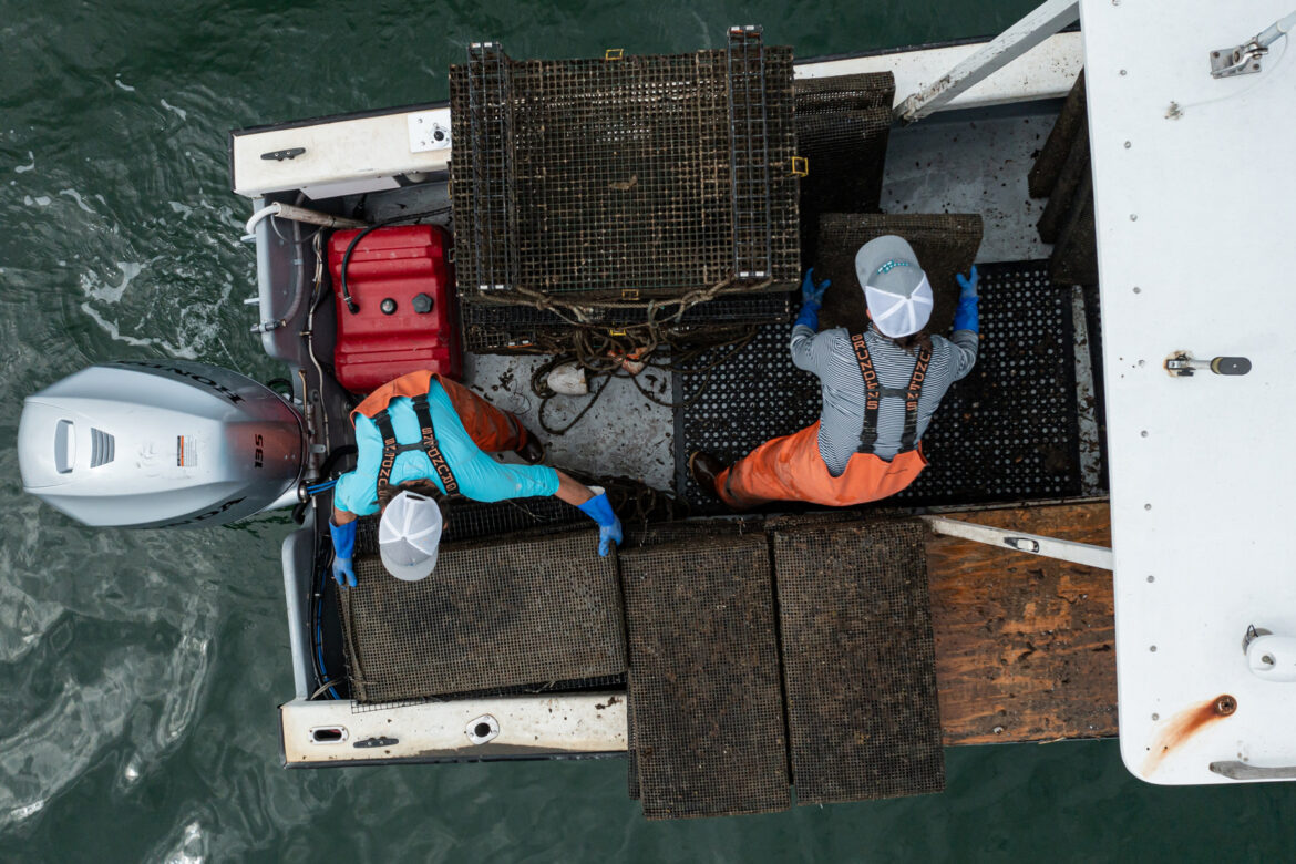 overhead shot of two people working on an oyster boat