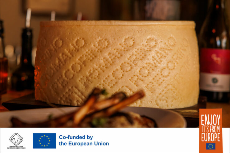 a wheel of pecorino romano pdo cheese on a restaurant dinner table